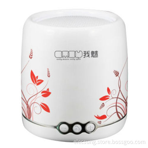 Portable Bluetooth Speaker, Bluetooth V4.0, Wireless Speaker